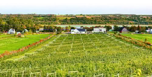 Les terrains de la Côte-de-Beaupré ont un potentiel de valorisation