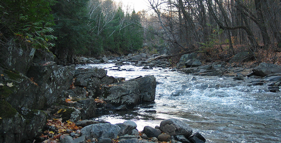 img_Riviere-899x458